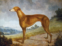 Fine Oleograph on Canvas - A Brown Greyhound in a Landscape