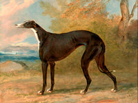 Fine Oleograph on Canvas - A Black Greyhound in a Landscape aft. Garrard