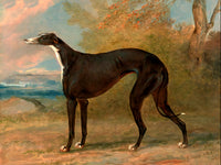 Fine Oleograph on Canvas - A Black Greyhound in a Landscape aft. Garrard