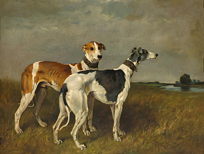 Fine Oleograph on Canvas - A Pair of Greyhounds in a River Landscape