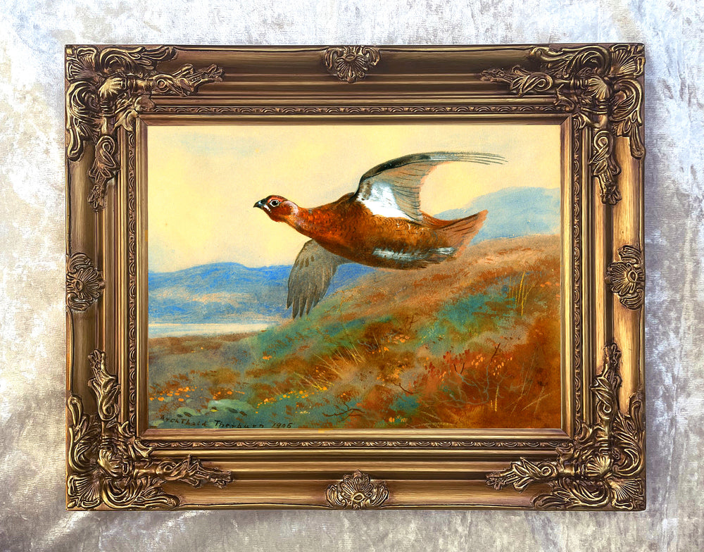 Fine Large Oleograph on Canvas of a Red Grouse