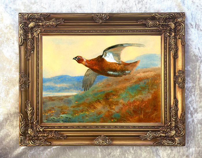 Fine Large Oleograph on Canvas of a Red Grouse