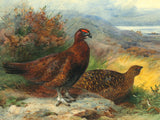 Fine Large Oleograph on Canvas of Red Grouse in a Landscape