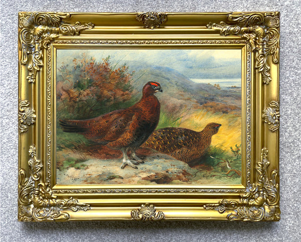 Fine Large Oleograph on Canvas of Red Grouse in a Landscape