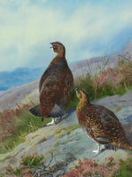 Grouse on a Moor - Fine Lithograph on Canvas aft. Thorburn