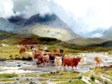 Fine Oleograph on Canvas of Highland Cattle crossing a Stream