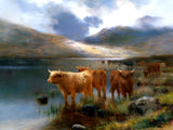 Highland Cattle by a Loch- Fine Oleograph on Canvas after Bosworth Hurt