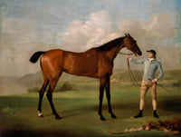 Gilt Framed Oleograph of the Racehorse "Molly Longlegs"