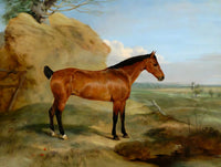 Fine Oleograph on Canvas of Bay Horse in an Extensive Landscape