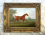 Excellent Oleograph on Canvas - Portrait of a Chestnut Stallion in a Landscape