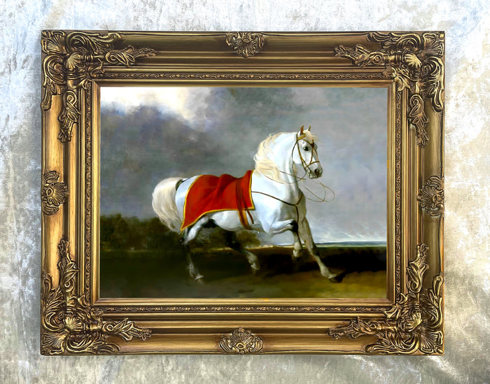 Fine Oleograph on Canvas of the White Arab Stallion 
