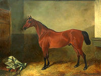 Fine Oleograph on Canvas of a Bay Hunter in a Stable