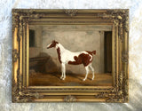 Fine Oleograph on Canvas of a Skewbald Horse in a Stable