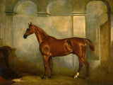 Gilt Framed Oleograph of  a Chestnut Hunter in a Stable aft. J Ferneley