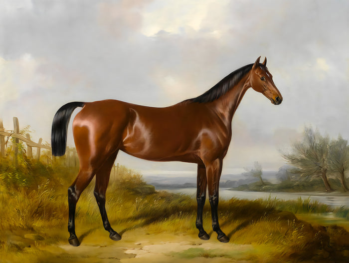 Fine Oleograph on Canvas of a Bay Hunter by a River