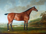 Excellent Lithograph on Canvas -"Vanguard" a Bay Mare in a Landscape