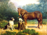 Fine Oleograph on Canvas of a Bay Horse & 2 Dogs in a Wooded Landscape