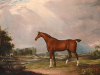 Fine Oleograph on Canvas of a Bay Hunter in an extensive Landscape