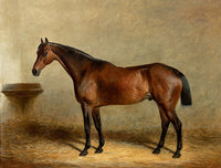 Fine Oleograph on Canvas of a Bay Horse in a Stall