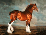 Fine Oleograph on Canvas of a Bay Shire Horse