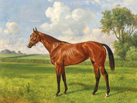 Fine Oleograph on Canvas of a Bay Horse in an Extensive Landscape