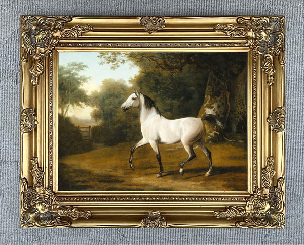 Fine Oleograph on Canvas - A Grey Arab Stallion in a Wooded Landscape