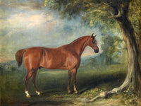 Fine Oleograph on Canvas of a Chestnut Horse in a Landscape aft. J Ferneley Jnr