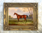 Fine Oleograph on Canvas - Bay Horse by a Tree
