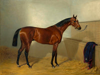 Fine Lithograph of a Bay Horse Tethered in a Stable