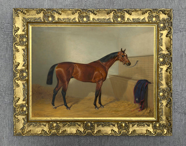 Fine Lithograph of a Bay Horse Tethered in a Stable