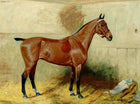 Oleograph on Canvas of the Racehorse "Henrietta" in a stable