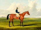 Fine Oleograph on Canvas - Portrait of a Bay Racehorse with Jockey Up