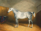 Fine Oleograph on Canvas -Portrait of a Dapple Grey Gelding in a Stable