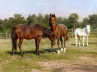 Fine Oleograph on Canvas of 3 Horses in a Landscape