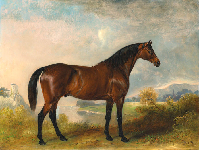 Fine Oleograph on Canvas of the Bay Hunter 