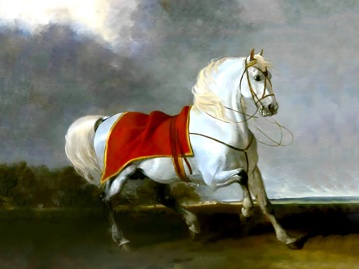 Fine Oleograph on Canvas of the White Arab Stallion 