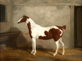 Fine Oleograph on Canvas of a Skewbald Horse in a Stable