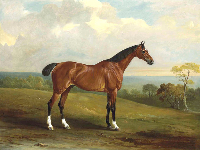 Fine Oleograph on Canvas of the Bay Hunter 