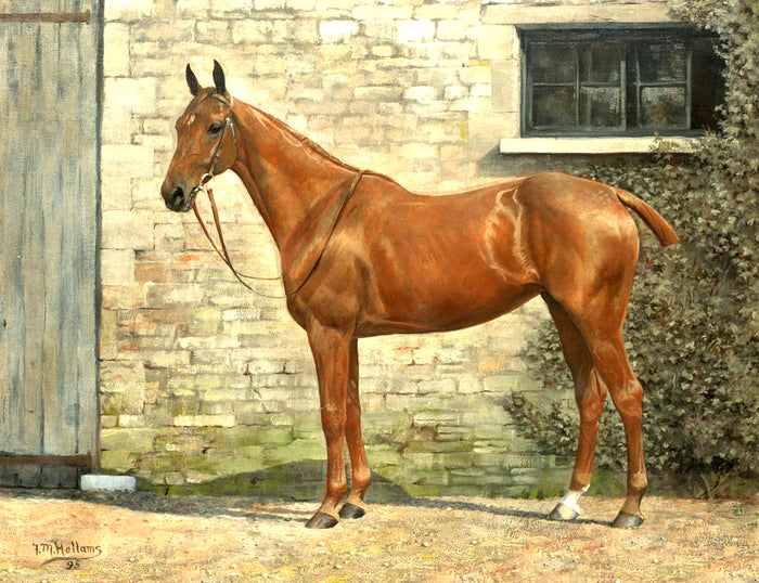 Fine Oleograph on Canvas of a Chestnut Hunter in a Yard