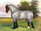 Fine Oleograph on Canvas of a Grey Shire Horse in a Landscape