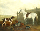 Fine Oleograph on Canvas - White Horse with Hounds  in a Stable Yard