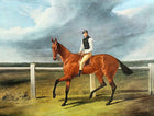 Fine Oleograph on Canvas of Racehorse with a Jockey Up aft. J.F.Herring