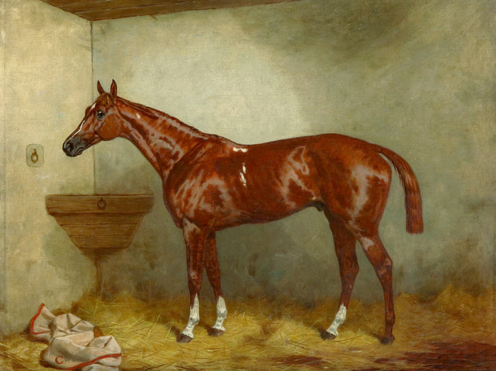 Fine Oleograph on Canvas of a Bay Racehorse in a Loosebox aft. Harry Hall