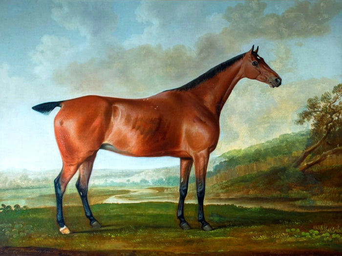 Excellent Lithograph on Canvas -