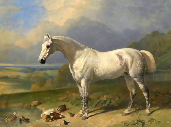 Fine Oleograph on Canvas - Grey Hunter by a Pond aft. J.Herring