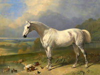 Fine Oleograph on Canvas - Grey Hunter by a Pond aft. J.Herring