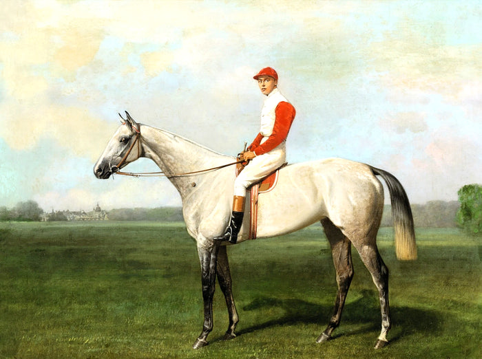 Fine Oleograph on Canvas of a Grey Racehorse with Jockey Up.