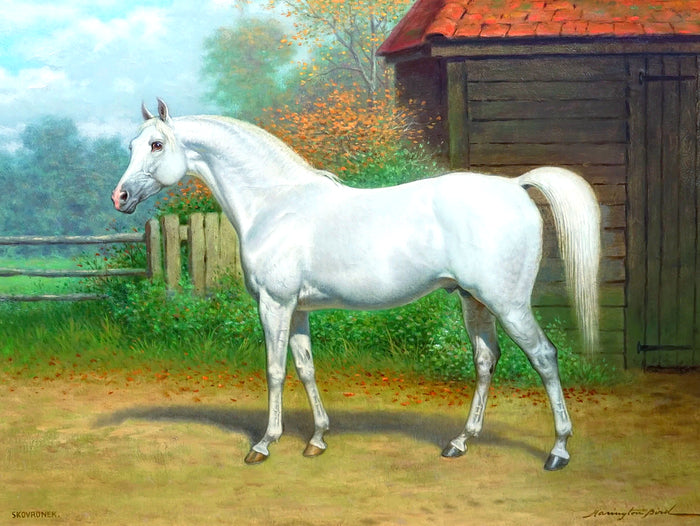 Fine Oleograph on Canvas - Portrait of a Grey Arab Stallion Racehorse