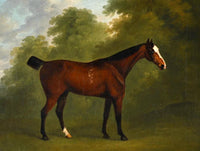 Fine Oleograph on Canvas - Portrait of a Bay Horse in a Wooded Landscape