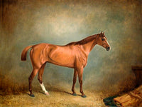 Excellent Oleograph on Canvas - Portrait of the Racehorse "Sunlight" in a Stable